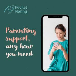Pocket Nanny Access Pass